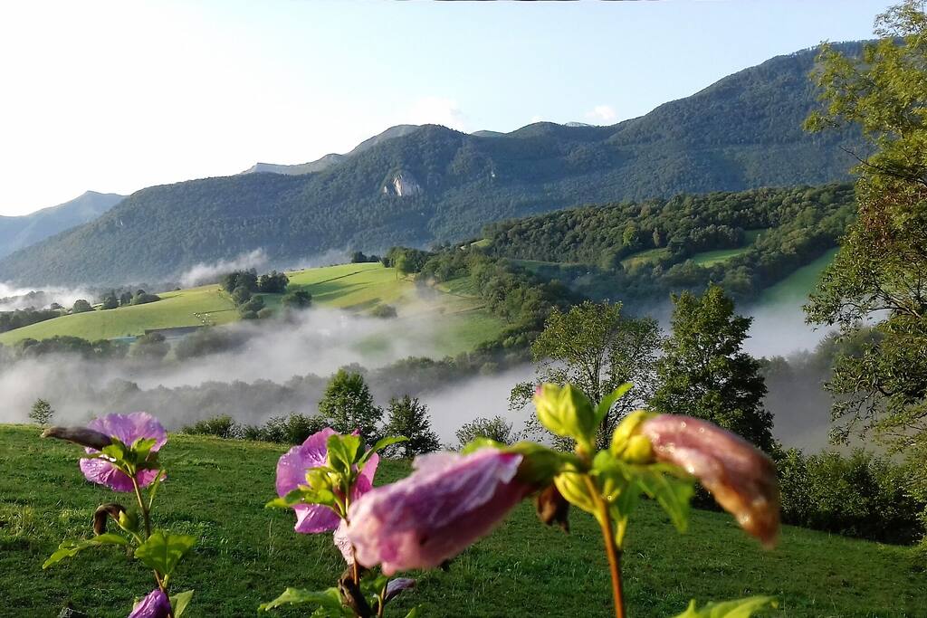 Vue des Pyrénées à l'arrivée