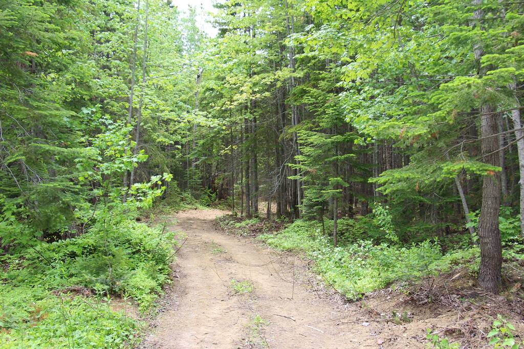 Le chemin d'accès
