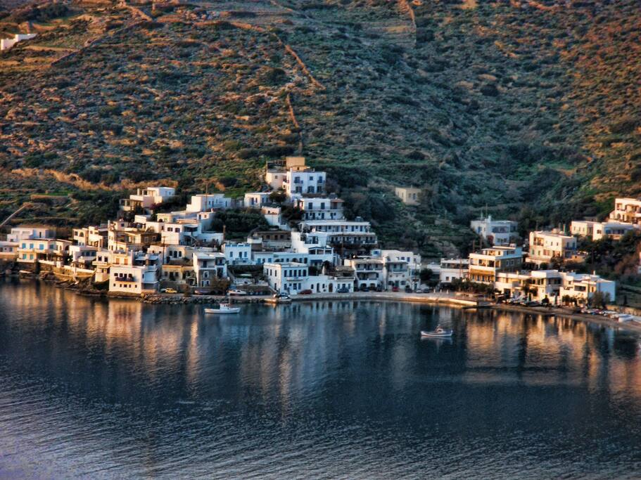 Xilokeratidi bay