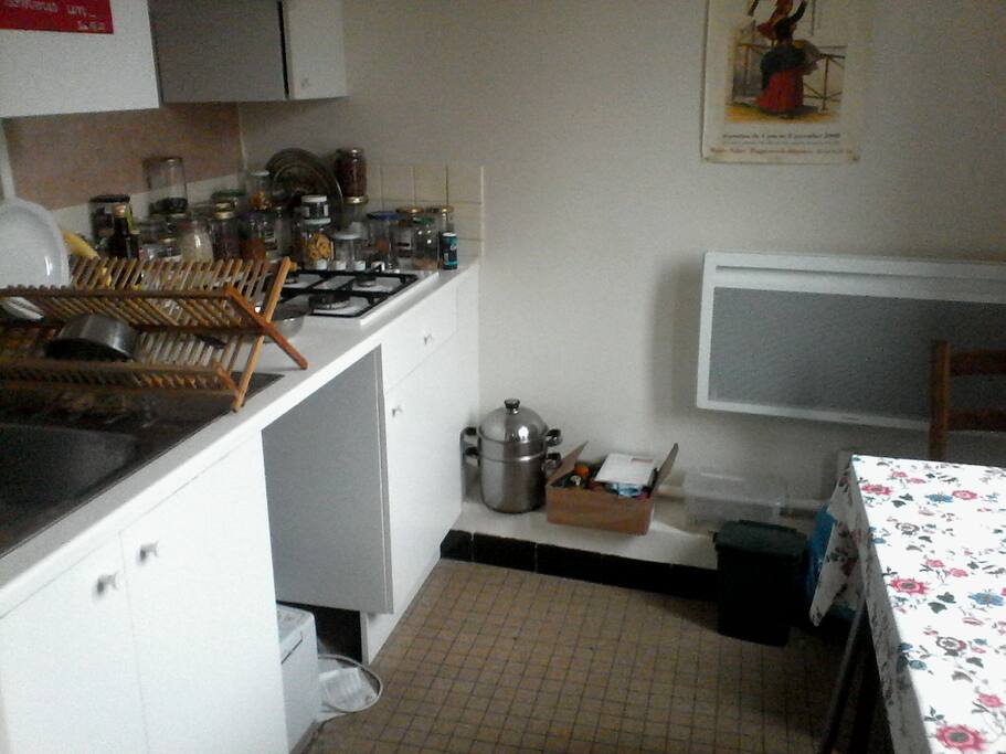 La petite cuisine de l'appartement. Plaques au gaz, frigo, petit four et micro-ondes.