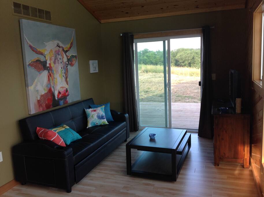 Main living area with futon/couch turns into queen bed.
