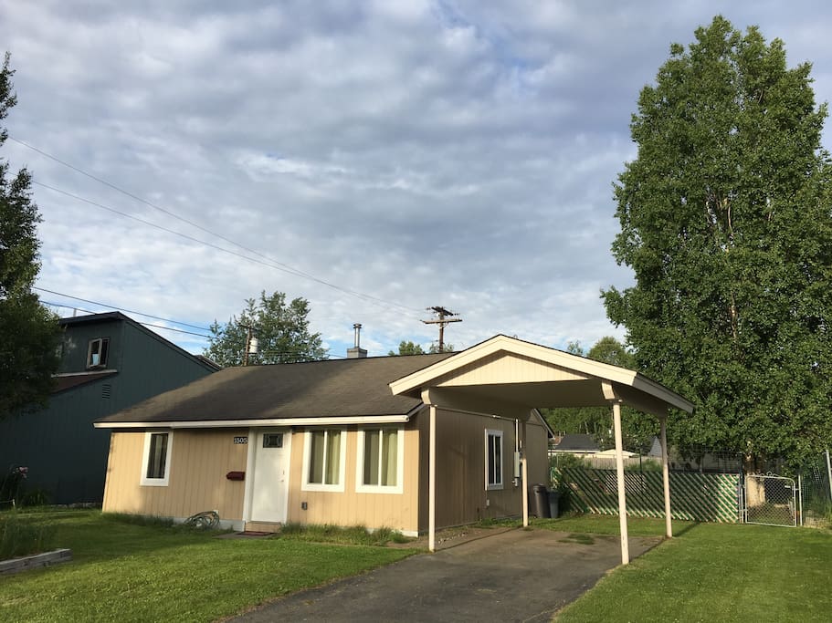 Nice big birch tree in the backyard