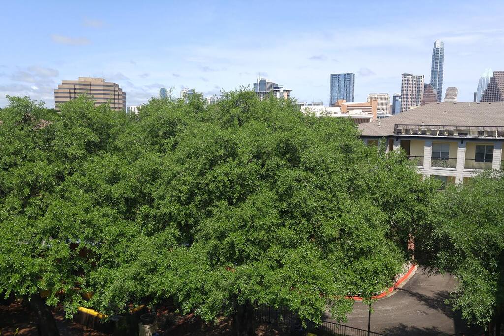 Beautiful daytime view