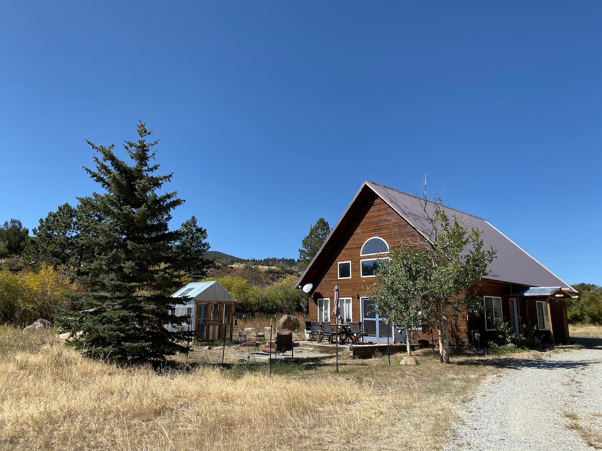 A rustic A-frame cabin is situated against a clear blue sky, surrounded by tall grass and woodland. Large windows are visible, reflecting the natural landscape, while a patio area with seating offers outdoor relaxation. A green shrub and tall evergreen tree provide additional greenery.