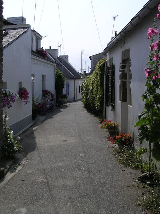 Ruelle vue de la maison