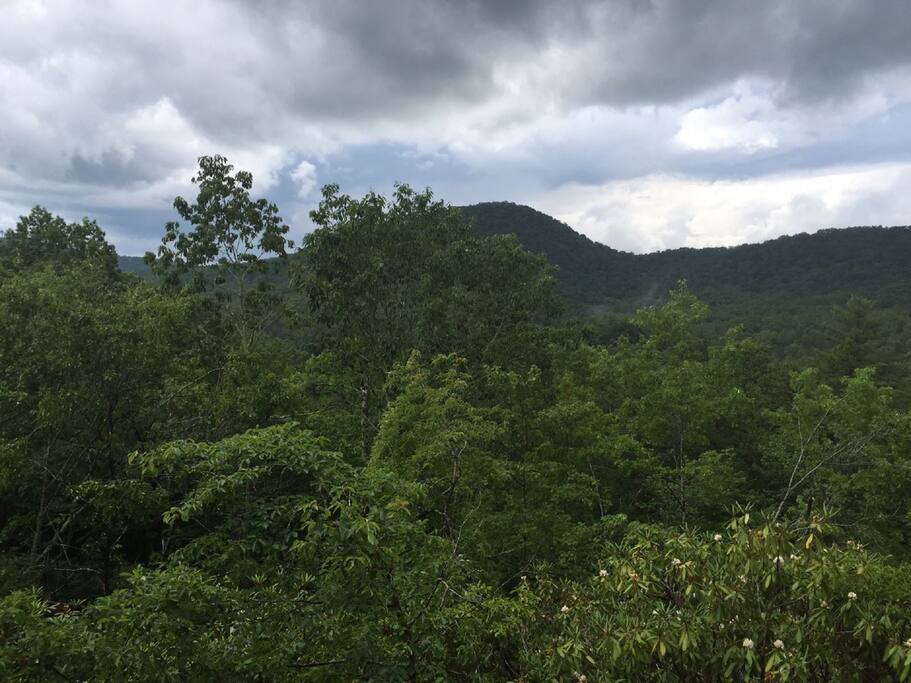 Dogwood Dream-North Georgia Vacation Rentals-rear View