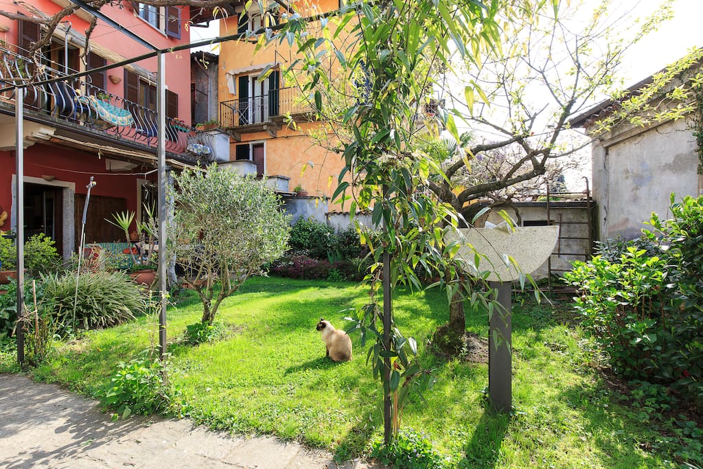 Il giardino che si vede dal terrazzino