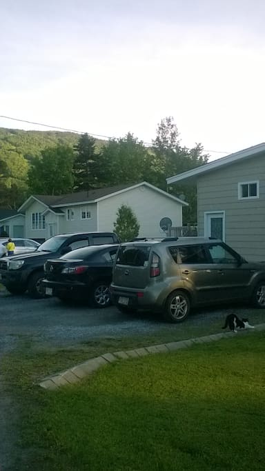 Large Three Car Driveway
