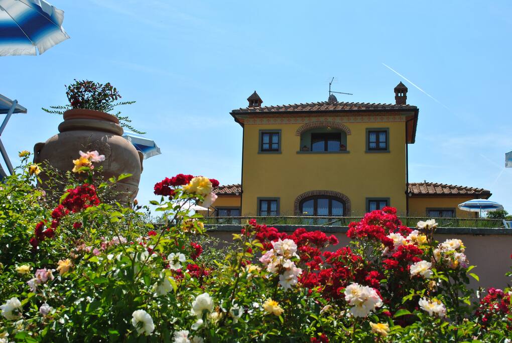 Panoramic view