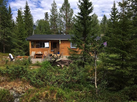 Swedish familiy cabin 5+1 p Björnliden, Grövelsjön