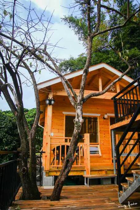 依树而建的木屋