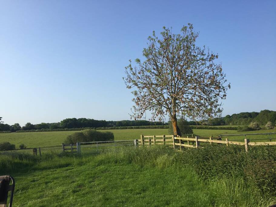 Uninterrupted views over the working farm