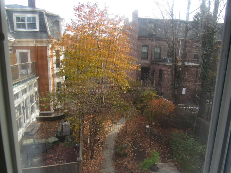 Second floor view of partial front yard and driveway.