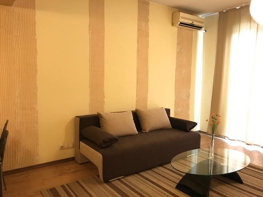 That's the sofa. It can turn into a comfy bed.
