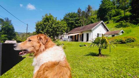 Beautiful soothing villa, view of the rent
