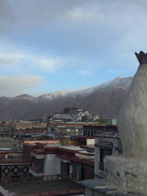 露台上的景色