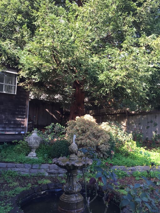 Private front entrance yard with fountain and 100-year old tree