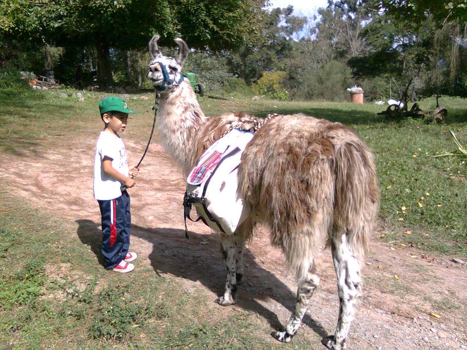 Circuitos para recorrer en compañía de las llamas.