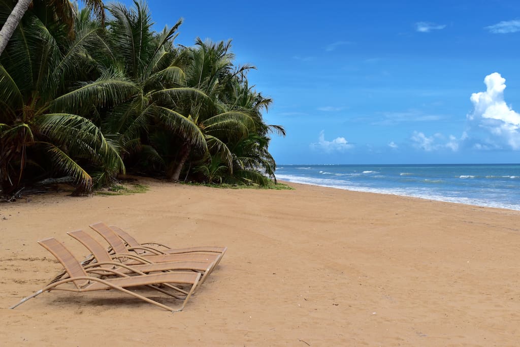 Beach Club beach with chaise lounges