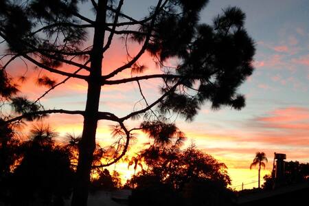 Island Loft/Walk Downtown/Bikes Available