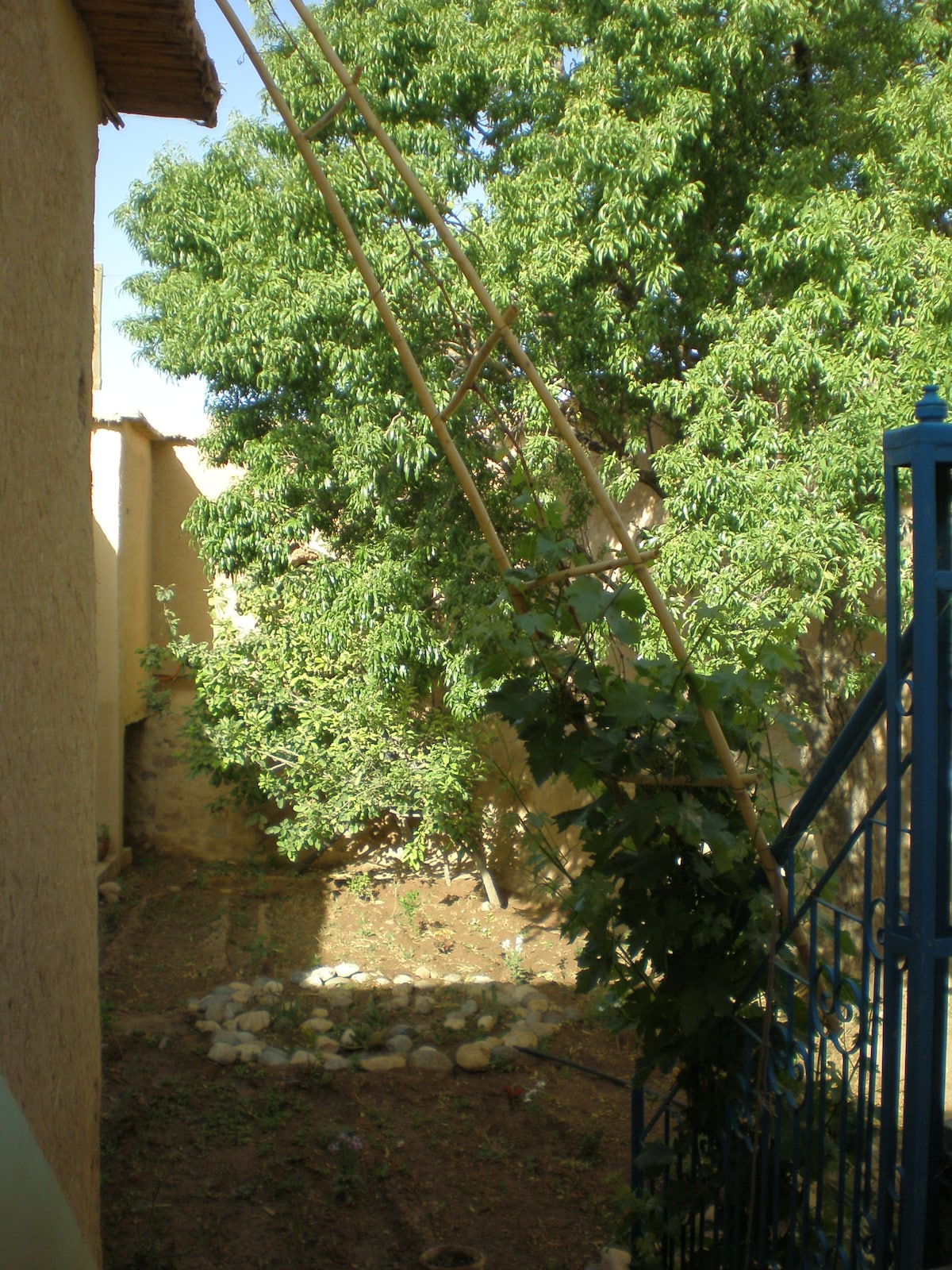 A green garden area is visible, featuring lush trees and plants. A wooden ladder leans against a tree, and a series of stones outlines a small garden bed. The natural light creates a serene atmosphere in the outdoor space.