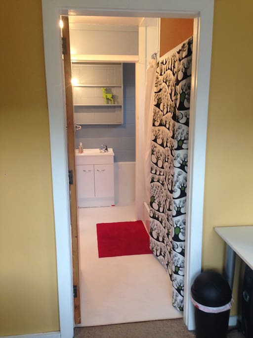 Basic bathroom with shower, toilet and hand basin.