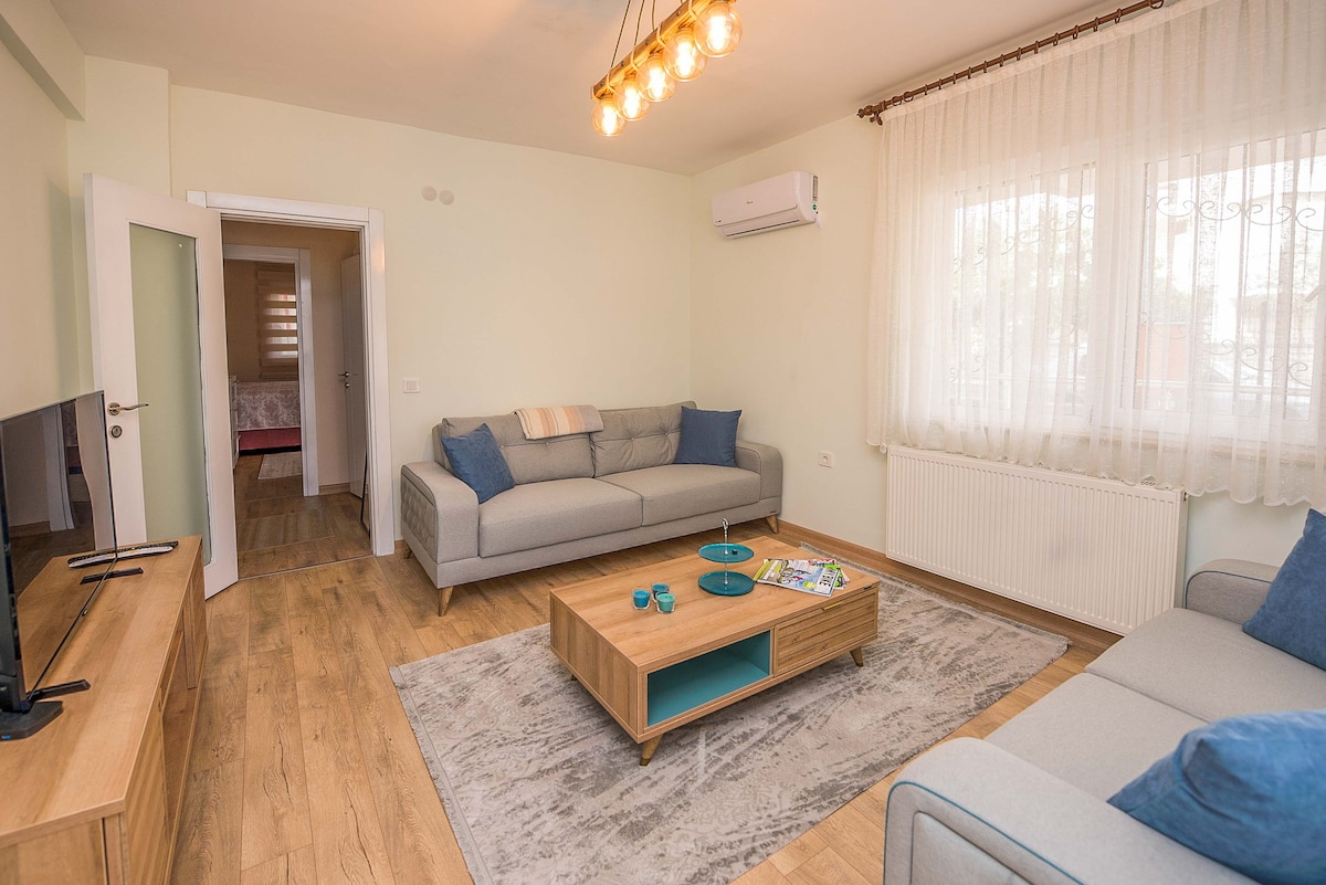 The living room features two light gray sofas adorned with blue accent pillows, complemented by a wooden coffee table. Natural light fills the space through a large window, which is dressed with sheer curtains. A flat-screen TV is mounted on the wall, adding to the room's functionality.