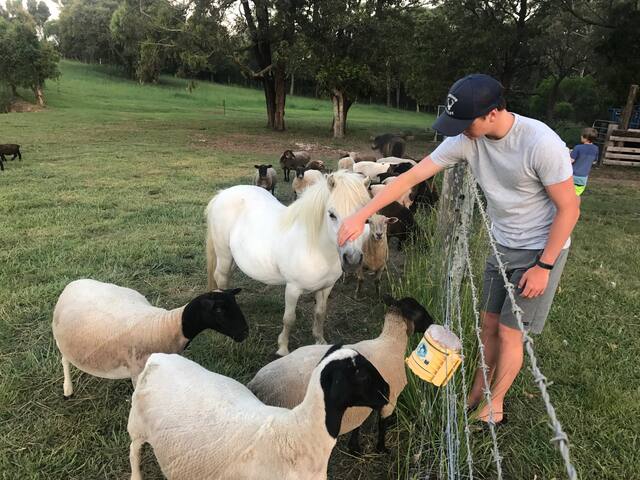 Casa Del Mare at Hallidays Point gallery image 3