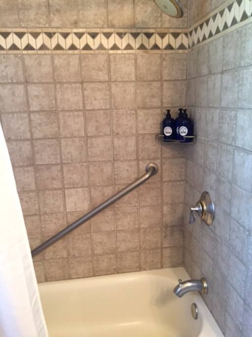 Guest bath tub/shower
