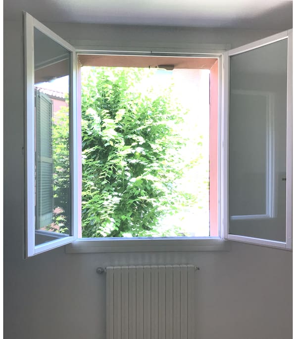 dalla finestra delle prima camera da letto