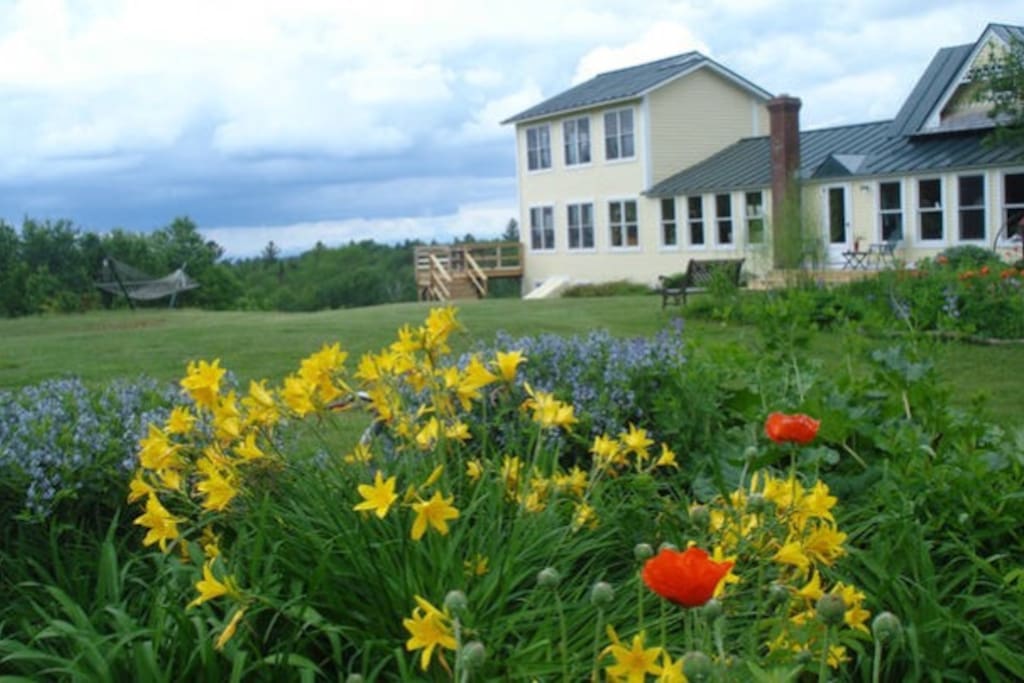 Our home in the summer