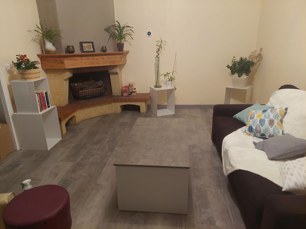 The living area features a cozy seating arrangement with a large sofa and a coffee table. A traditional fireplace adds character to the space, surrounded by indoor plants. Shelving units are positioned against the walls, enhancing the room's functionality and appeal.