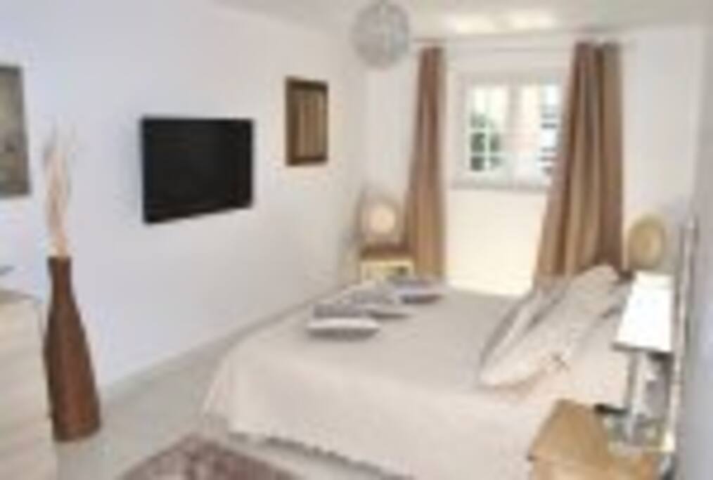 suite parentale (lit 160) avec salle de douche +wc + tv
