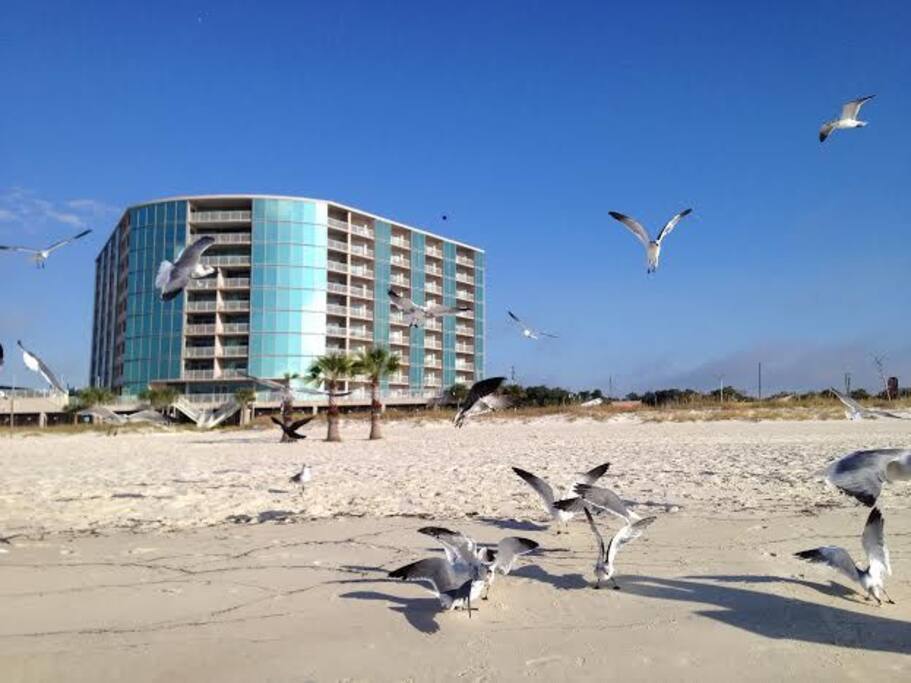 View of condo building from beach.
