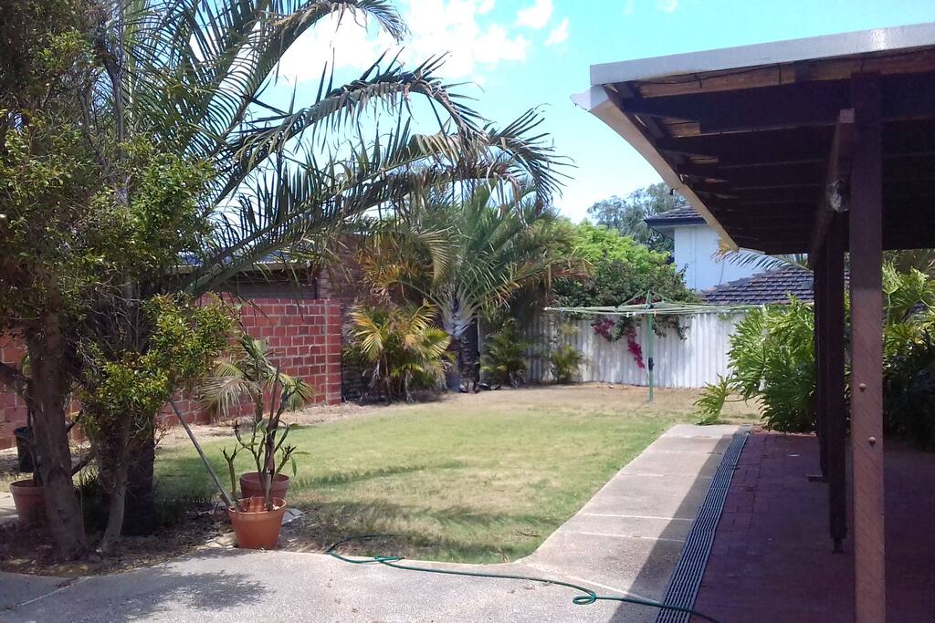 Large backyard