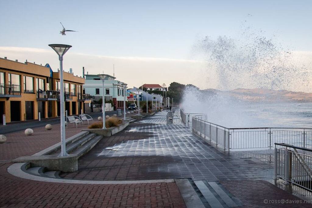 St Clair Esplanade 15min Walk