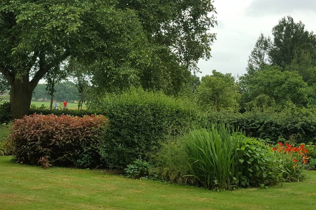 Voortuin met zicht op Rysterbosk