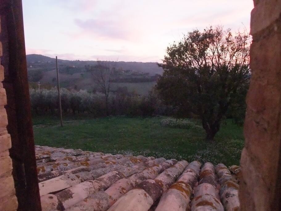 VISTA DALLA FINESTRA