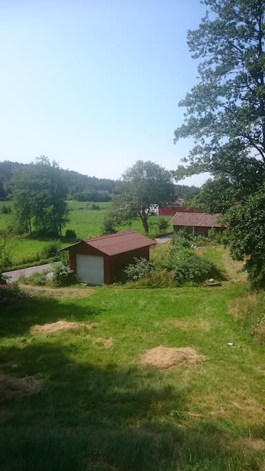 View from house