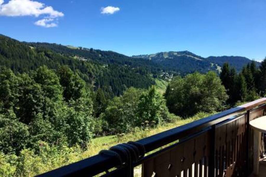 Summer view