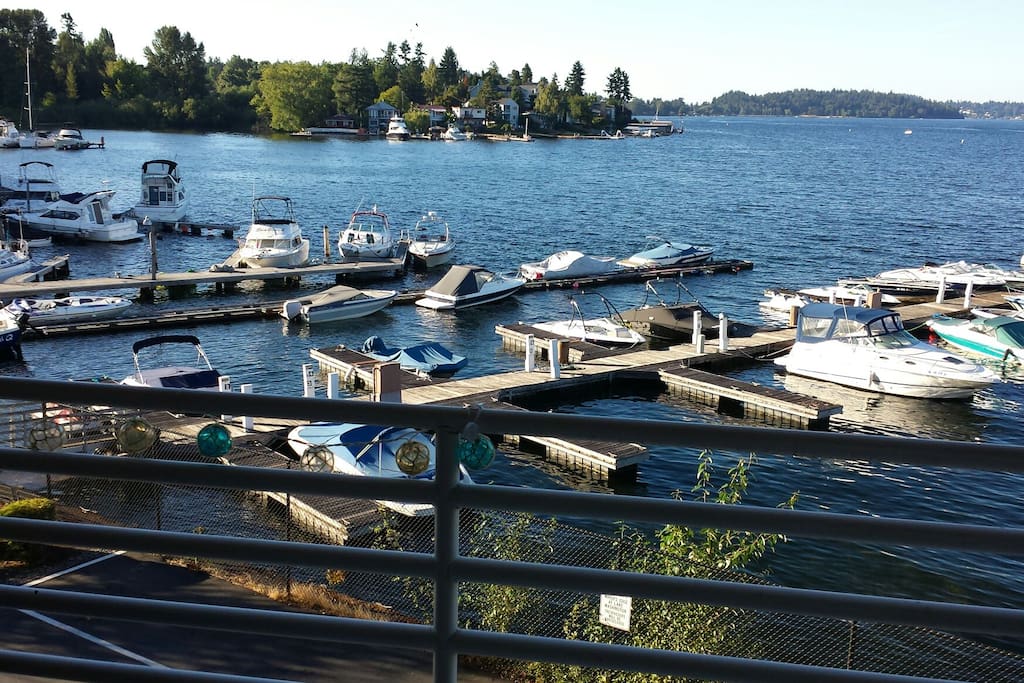 A View From the deck