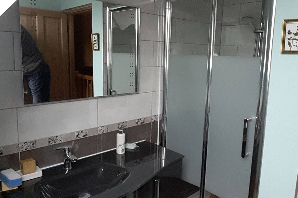 La salle de bains et sa cabine de douche.