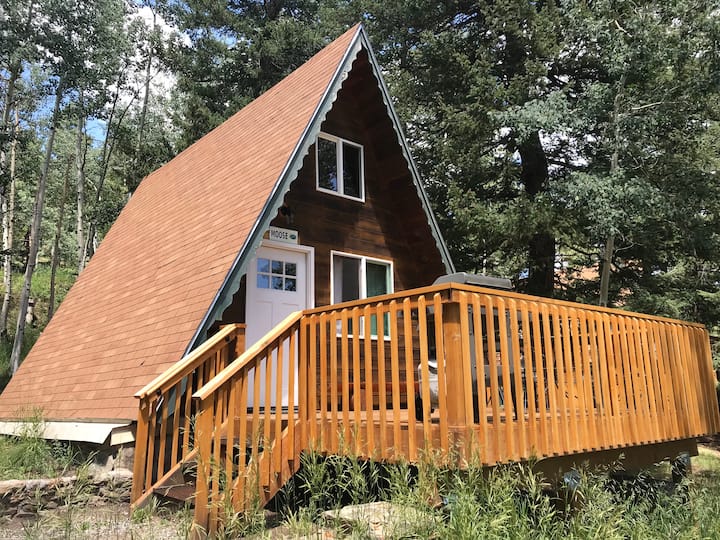 Moose Cabin Cabins for Rent in Bailey, Colorado, United States