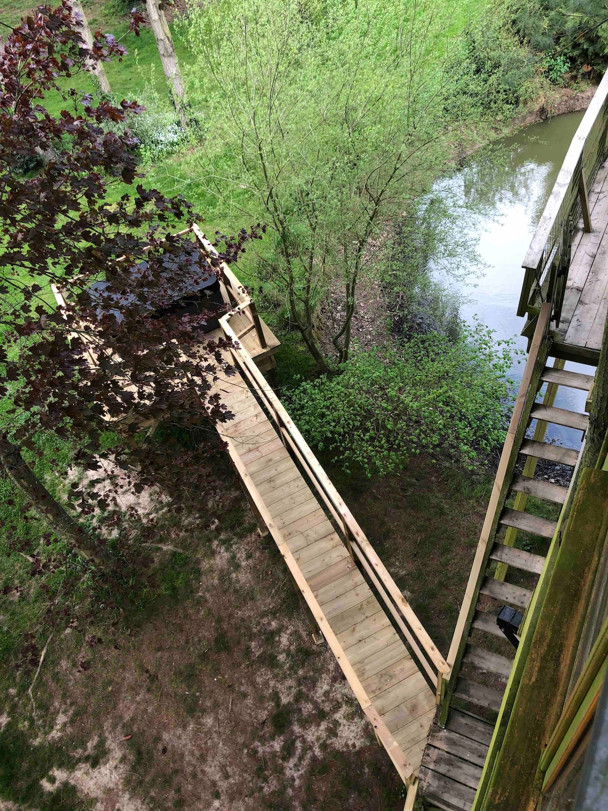 A wooden pathway connects the treehouse to the ground, bordered by lush green foliage and a small stream. A staircase leads from the cabin to the raised deck area, providing direct access to the surrounding nature.
