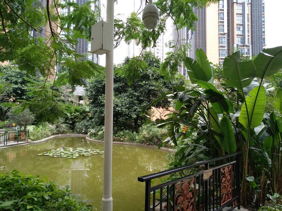 小区水池