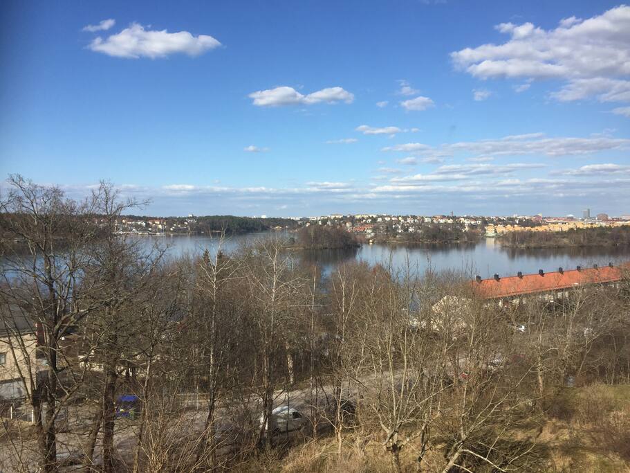 View from kitchen window, early spring