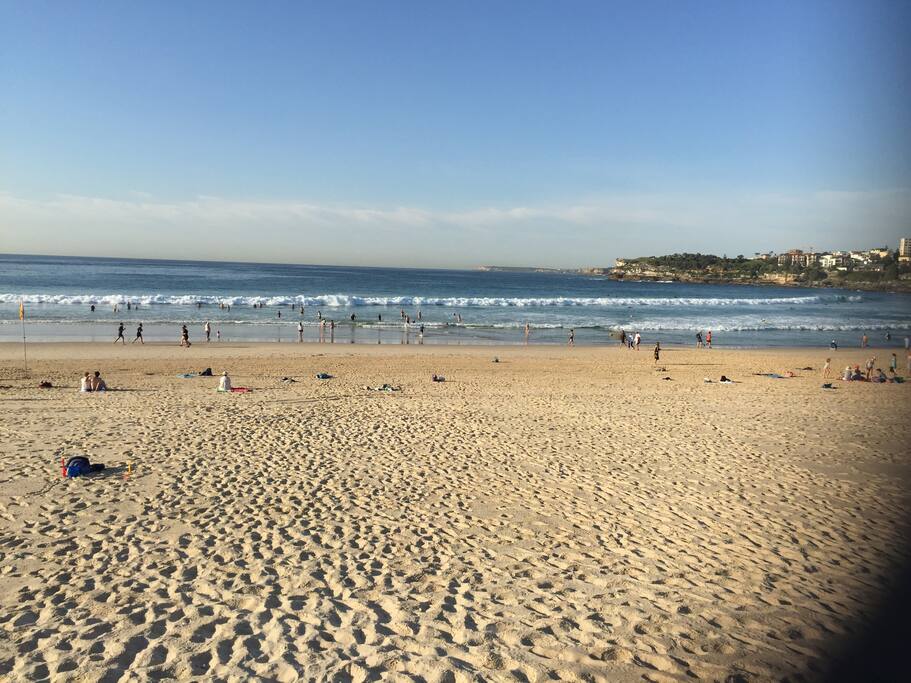Bondi Beach