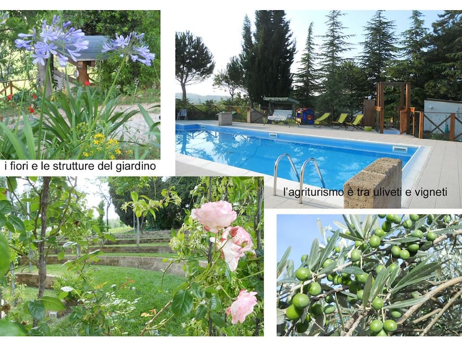 giardini e piscina