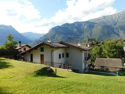 Joanna's House