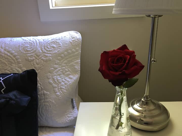 מצעים יפים ורד טרי מהגינה.